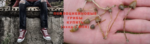 mdma Нефтекумск
