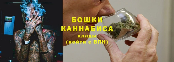 apvp Михайлов