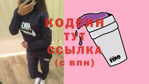 МДПВ Нея