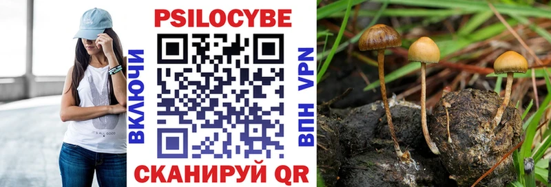Галлюциногенные грибы Psilocybe  мега вход  Краснокамск  магазин  наркотиков 