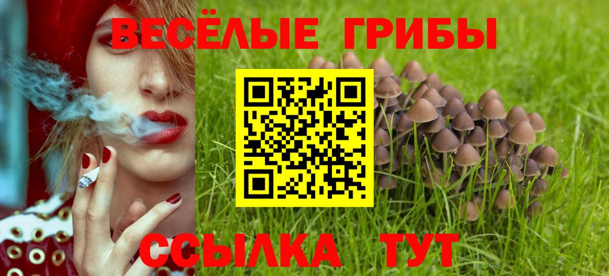 Псилоцибиновые грибы MAGIC MUSHROOMS  Вход с VPN  Краснокамск 