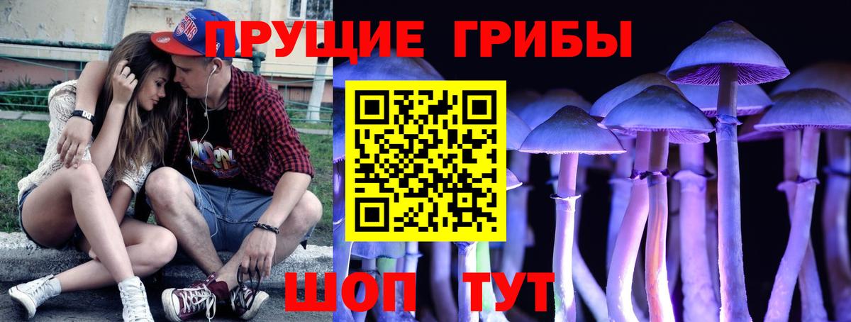 Галлюциногенные грибы GOLDEN TEACHER  Галлюциногенные грибы GOLDEN TEACHER  дарнет шоп  Краснокамск 